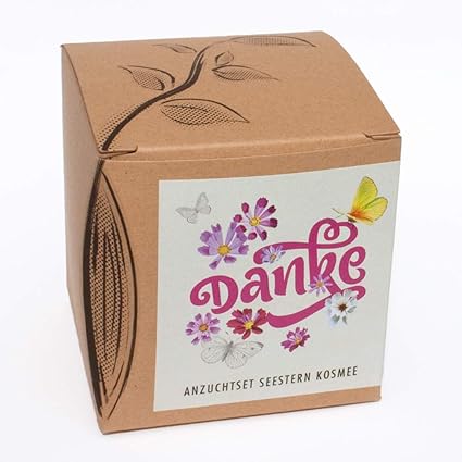Geschenk-Anzuchtset'Danke' - Seestern Kosmee