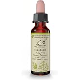 Bach Original Flower Remedies, Clematis, 0.35 fl oz (10 ml)