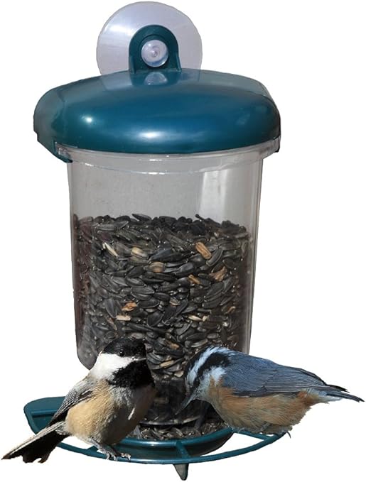 Amazon Com Window Bird Feeder Suction Cup Attaches Feeder To
