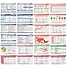 Scrubnotes - Medical Reference ID Badge Cards for Nurses and Doctors - 13 Card Set - Reference sheets