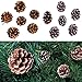 Outgeek Party Hanging Ornaments, 72 Pack Natural Pine Cone Pendant Set Wood Frosted Pinecone Ornaments for Kids Theme Party Wedding Garden Home Tree Decorations