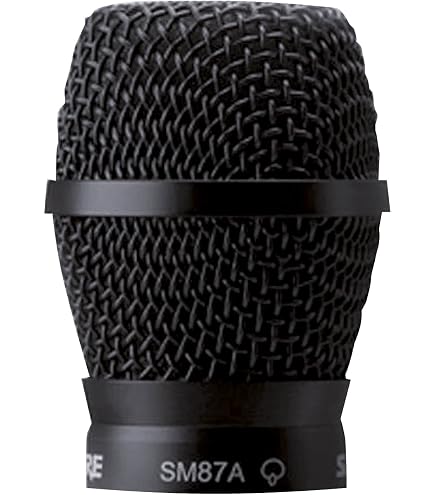 Amazon.com: Shure RPW112 Replacement Microphone : Musical Instruments