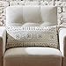 Amazon Brand – Rivet Mudcloth-Inspired Decorative Throw Pillow, 12