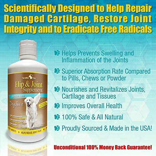 TerraMax Pro Best Hip and Joint Supplement for Dogs Liquid