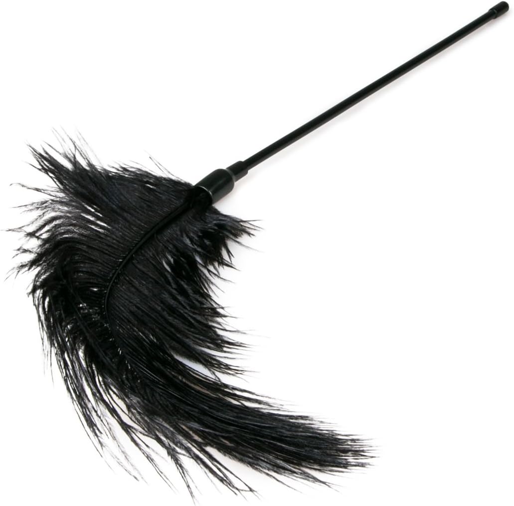 EasyToys Fetish Collection Black Feather Tickler, Black - Image 4
