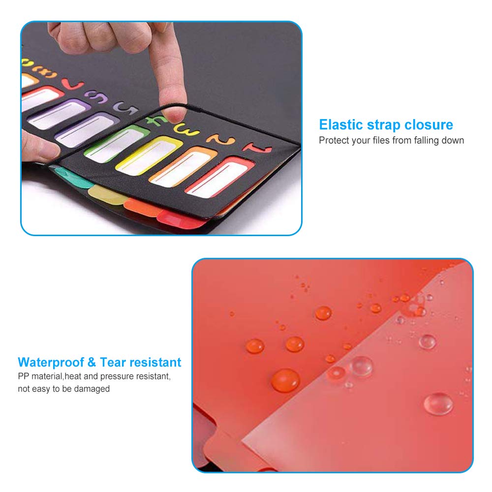 File Racks Expanding File Organiser with Lid A4 Plastic Document Wallet Folder for Home or Office Documents Folders with 12 Pages Colours Popper Wallet