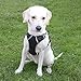 Menkar Dog Harness, No Pull, Adjustable, Outdoor Walking, Pet Vest, Reflective, Easy Control, for Large Dogs