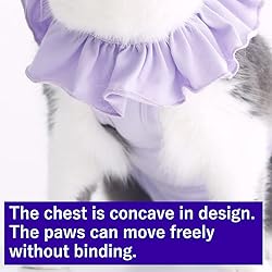 Cat Recovery Suit for Abdominal Wounds and Skin