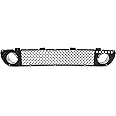 ECOTRIC Front Lower Bumper Grille Compatible with 1996-2003 BMW E39 M5 Black Center Mesh Grille (Will Also Compatible with All Aftermarket M5 STYLE & MTECH Front Bumpers)