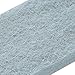 Feililon Good Grip Scrub Brushes Set ，Plastic Household Cleaning Supplies (Light Blue)