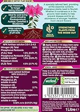 Westland Ericaceous High Performance Liquid Plant Food 1 Litre Green view 2