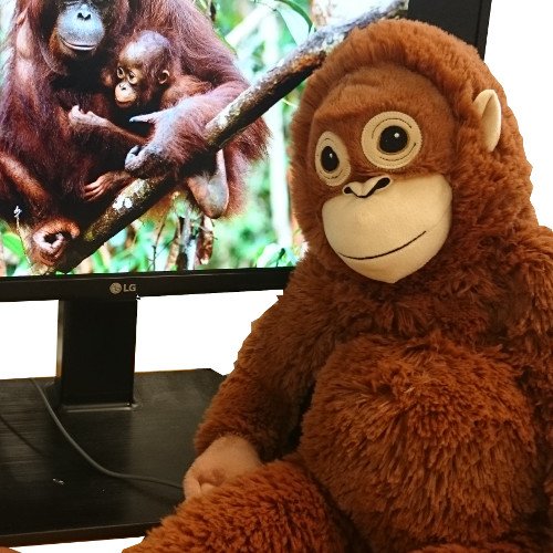 Unbekannt IKEA DJUNGELSKOG Stofftier Orang-Utan AFFE; (66cm) – Bild 5