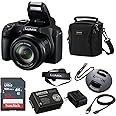 Panasonic LUMIX FZ80D 18.1MP Point & Shoot Digital Camera Bundle with Slinger Alpine 140 Multi-Device Shoulder Bag, SanDisk Ultra 32GB UHS-I SDHC Memory Card