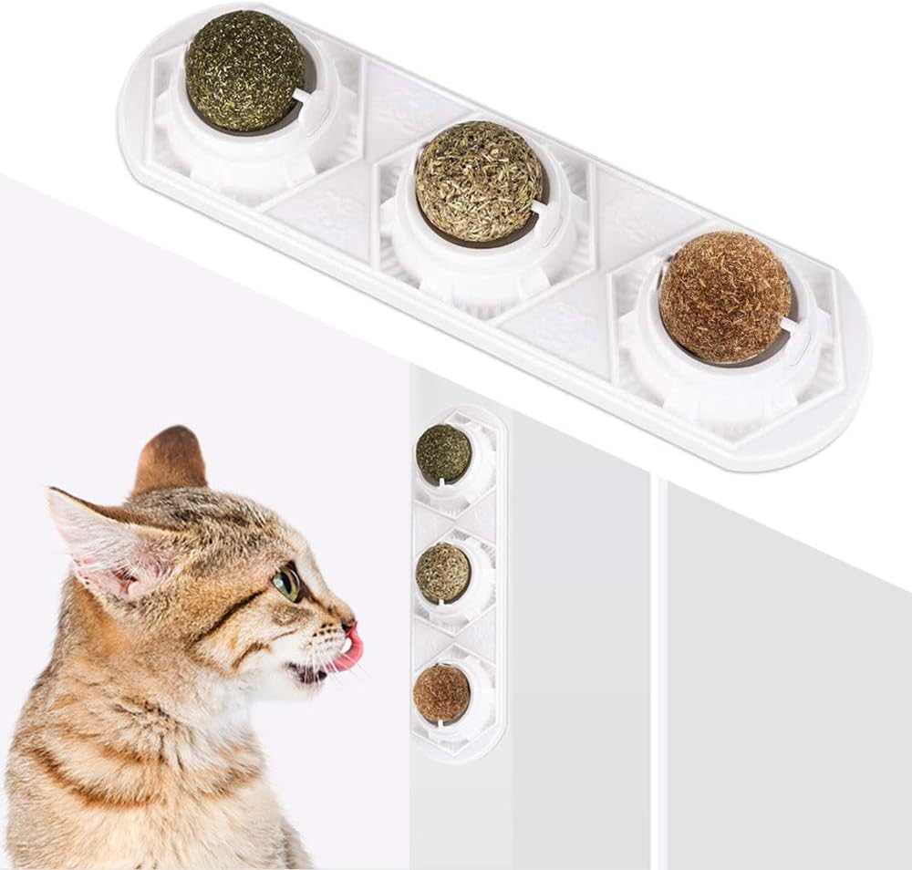 WoLover Catnip Wall Ball Toys Rotatable Cat Snack Edible