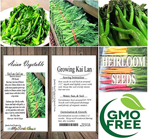 8 x Asian Vegetable Seeds Combo - Bitter Melon, Calabash, Kai LAN, Choy Sum, Luffa, Michihili, Tat SOI, Winter Melon - by MySeeds.Co - Thumbnail 3