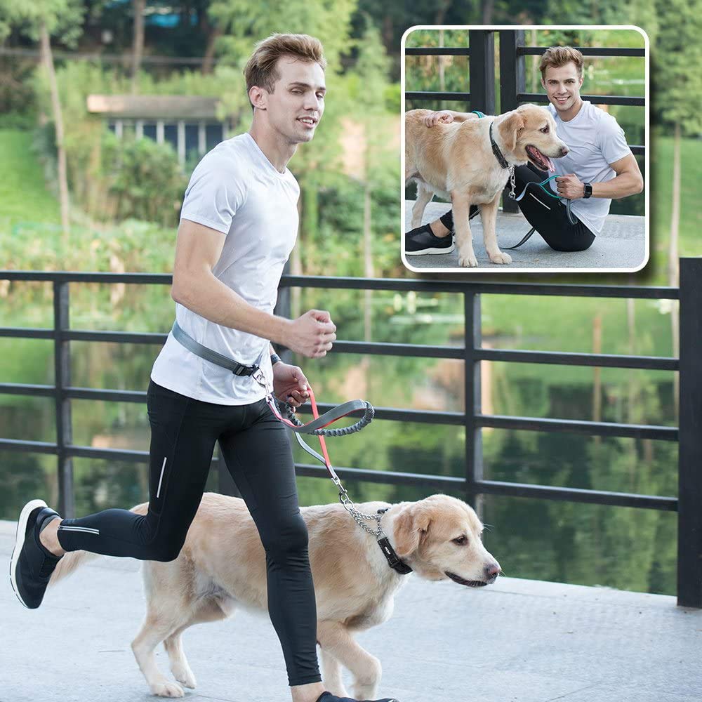 dog walking training collar