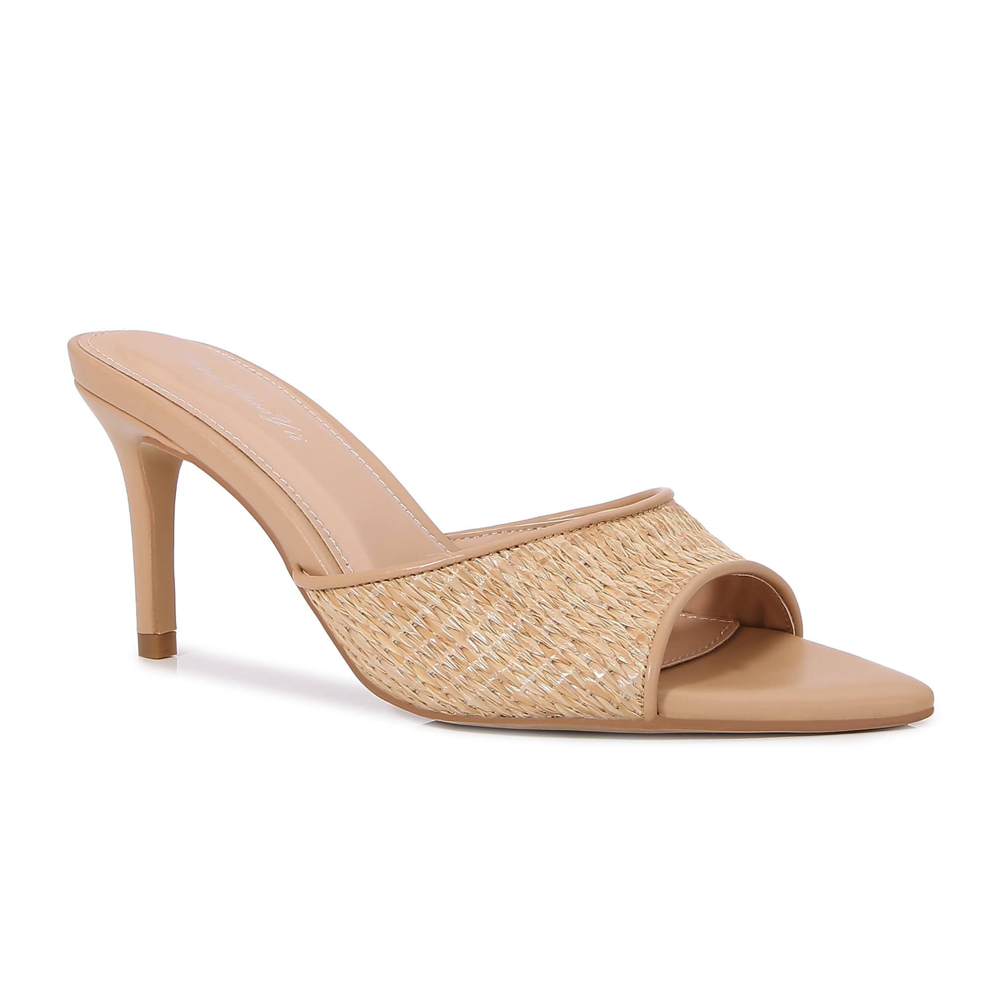 Shion ShaaYii Women Clear Pointed Toe Sandals Stiletto Heels Transparent Strap High Heels Slip on Mules for Women