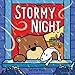 Stormy Night