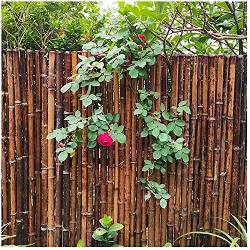 JinSui Bambus Sichtschutz Balkon Dekorative Zäune Balkonansicht Bambusmatte Trennwand Dauerhafter Bambuszaun…