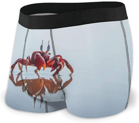 Amazon Co Jp メンズ 下着 男性 肌着 ショーツ ボクサーパンツ カニ 逆さに映った影 立体 吸湿 速乾 快適 通気 服 ファッション小物