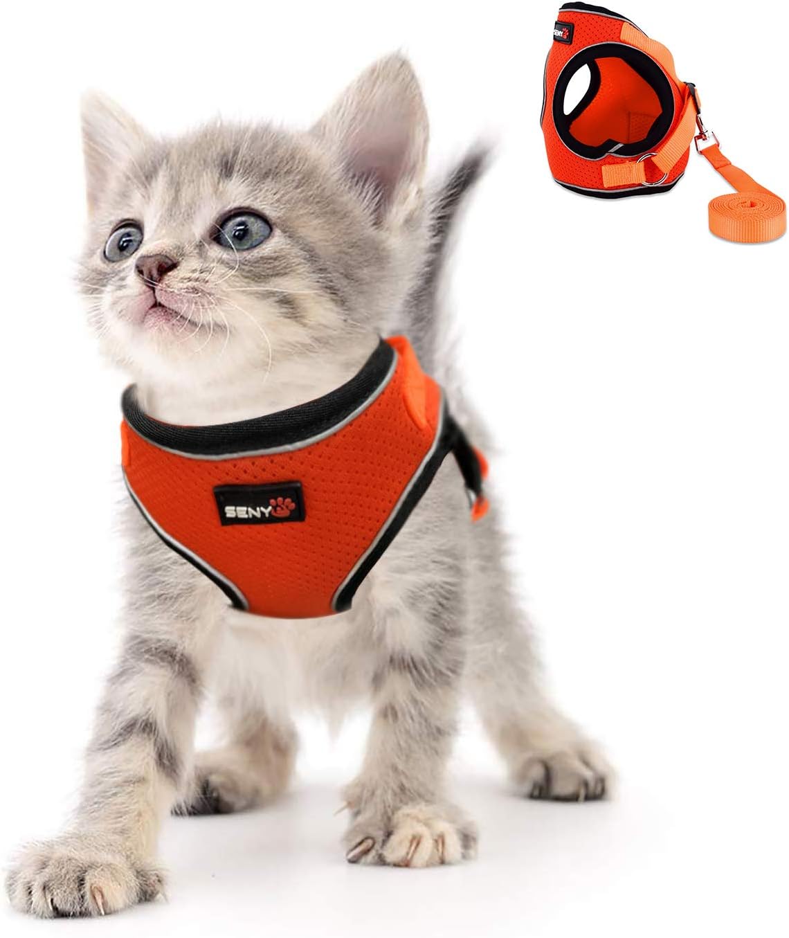 Kamots Beauty Escape Proof Cat Dog Harness and Leash Adjustable Soft Mesh Pet Vest with Reflective Strap for Puppy Kitten Small Pet Walking