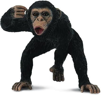 chimpanzee toy