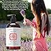 Laritelle Organic Shampoo 16 oz. Fortifying, Strengthening, Rejuvenating. Prevents Hair Shedding, Promotes New Hair Growth. Ayurvedic Herbs, Lavender, Ginger, Rosemary, Patchouli and Cloves. Vegan. GF