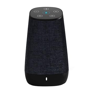 cowin dida with amazon alexa