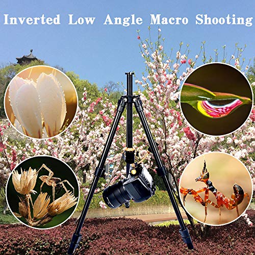 YoTilon Tripod for Camera, Portable Lightweight Travel Camera Tripod