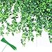 YOUYOUTE Artificial Ivy, 12 Pack Fake Ivy Plant Vine Leaf Leaves Greenery Garlands Hanging (Each 80 inch) for Wedding Party Garden Wall Decoration with Cable Ties (12)