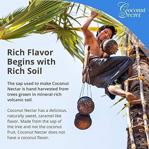 Coconut Secret Coconut Nectar - Natural, Low-Glycemic Liquid Sweetener, Agave Syrup Alternative - Organic, Vegan, Non-GMO, Gluten-Free, Kosher - 24 Servings, 12 Fl Oz (Pack of 1)