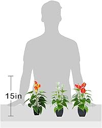 Artificial Flower Plants Calla Lily Faux Small