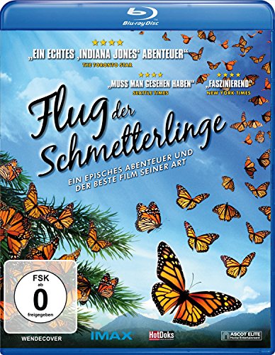 Flug Der Schmetterlinge