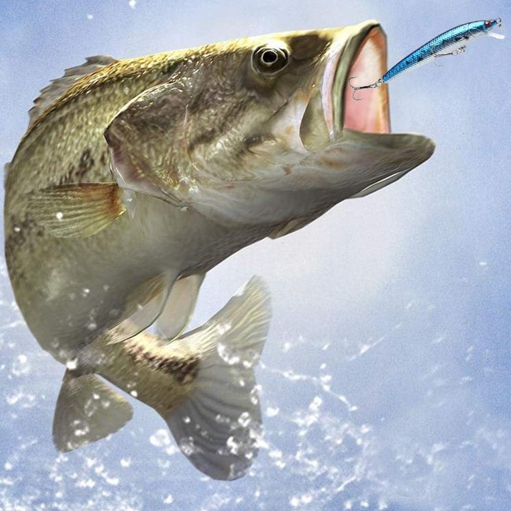 ROZKITCH 8 Pcs Fishing Lures Minnow Lures Topwater Baits Jigs Set for Bass Trout Salmon Saltwater/Freshwater Minnow Fishing Baits Kit, Length 3.9 Inches : Sports & Outdoors
