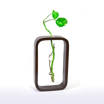 Urban Plant Modern Test Tube Planter with Wooden Stand