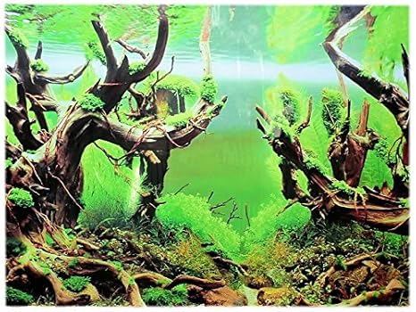 Rückwandfolie 100cm x 50cm Rückwandposter für Aquarien