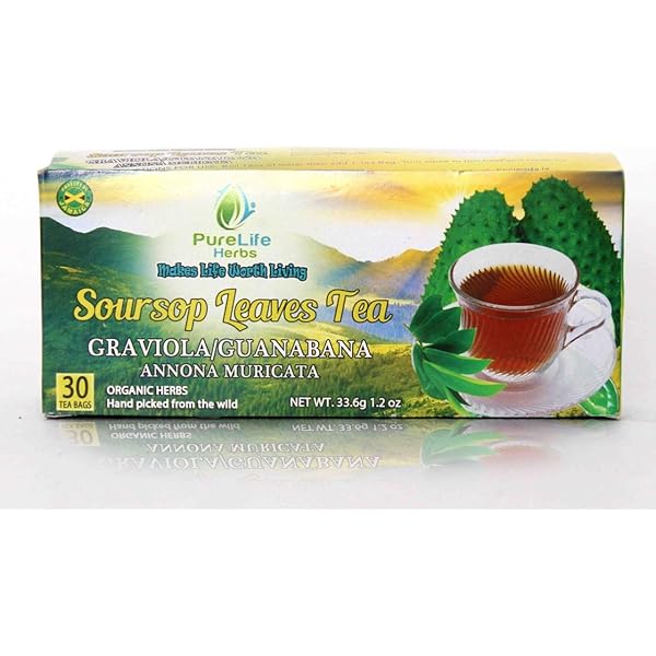 The Healing Benefits Of Soursop Tea Nalie