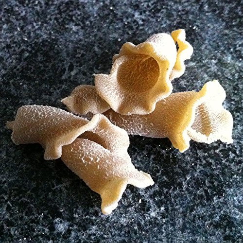 Sfogliniâ€”Porcini Trumpetsâ€”Made with Traditional Techniques & Wholesome Organic Grain with an Earthy Mushroom Flavorâ€”16oz Box