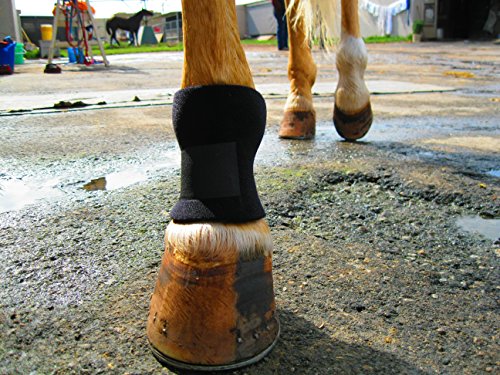 3 Equipro+Bed+Sore+Boots
