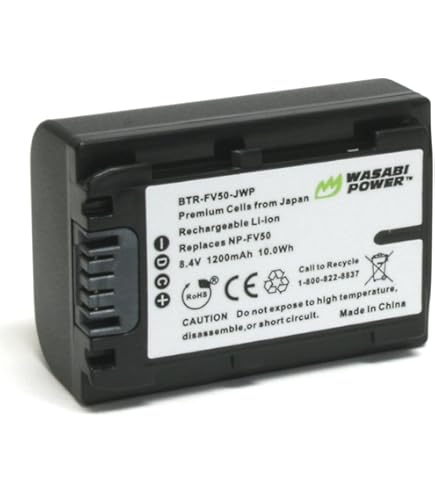 Amazon.com: Surpassed Battery Pack for Sony HDR-TG1, HDR