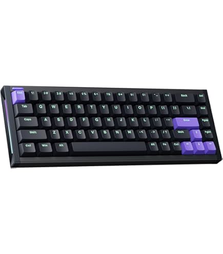 Amazon.com: GATERON SIKAKEYB Castle HM66 TKL Hyper Magnetic