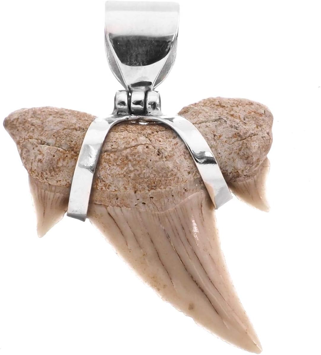Shark Tooth Fossil 925 Sterling Silver Pendant, 1 1/2"