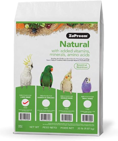 boston terrier westminster dog show