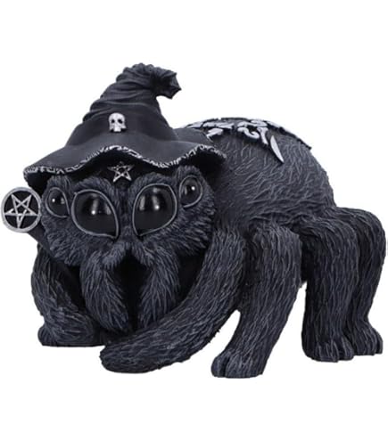 Amazon.com: Nemesis Now Raven's Spell 10.3cm, Black U5744U1 : Home