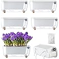 5 Pack Rectangular Planter 11.8 x 4.6 in Self Watering Planter Window Sill Planters Indoor Rectangle Planter Self Watering Pots Plastic Plant pots for African Violet Flower Orchid (Clear, 5)