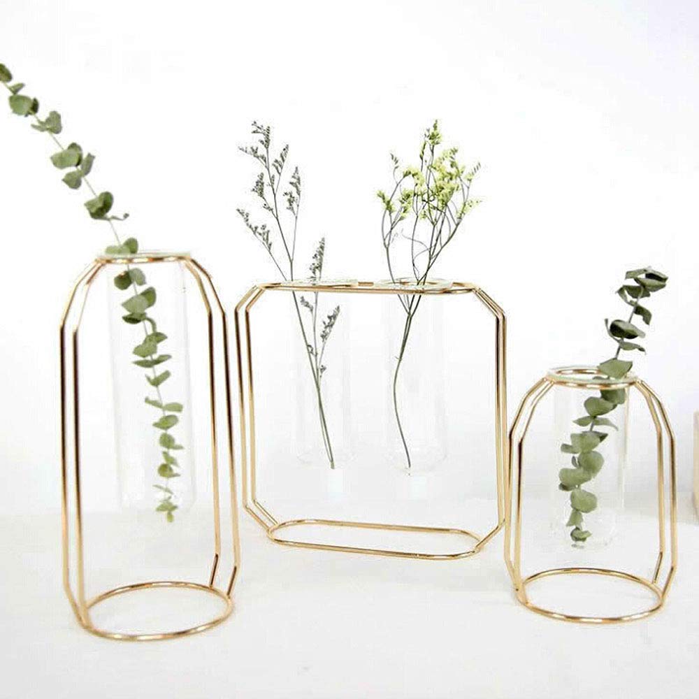 Best Home Decor Gold Plant