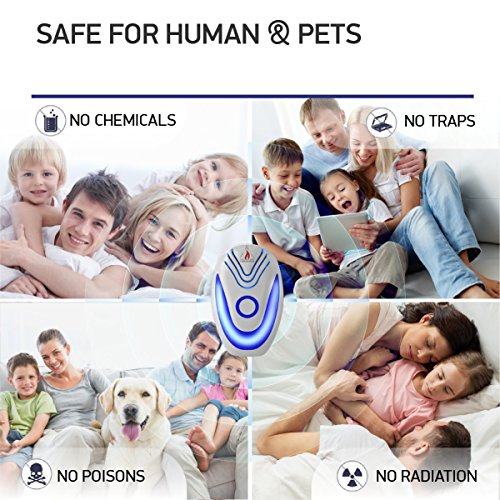 Campfire Stuff NEW 2018 Ultrasonic Pest Repeller (6-Pack) – Electronic & Ultrasound, Indoor Plug-In Repellent | Anti Mice, Insects, Bugs, Ants, Mosquitos, Rats, Roaches, Rodents - Child Safe Control