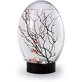 FLECHZAO Fish Tank Mini Ecological Fish Tank with LED Base Desktop Fish Tank Closed Aquatic Ecosphere No Need to Change Water