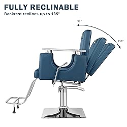 LUXMARS Salon Chair Barber Chair Hydraulic Stylist