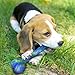 Dog Bone Soft Chew Toy (Pair) Handmade 100% Felted Wool & Natural Dyes, for Small Dogs & Puppies, Machine Washable